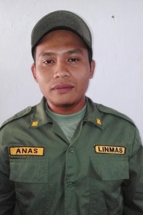 Anas