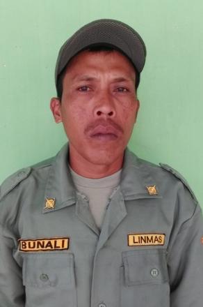 Bunali
