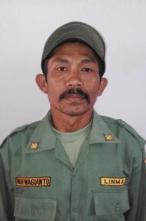 Wagianto